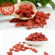 China red berry goji ningxia goji berries is popular in china